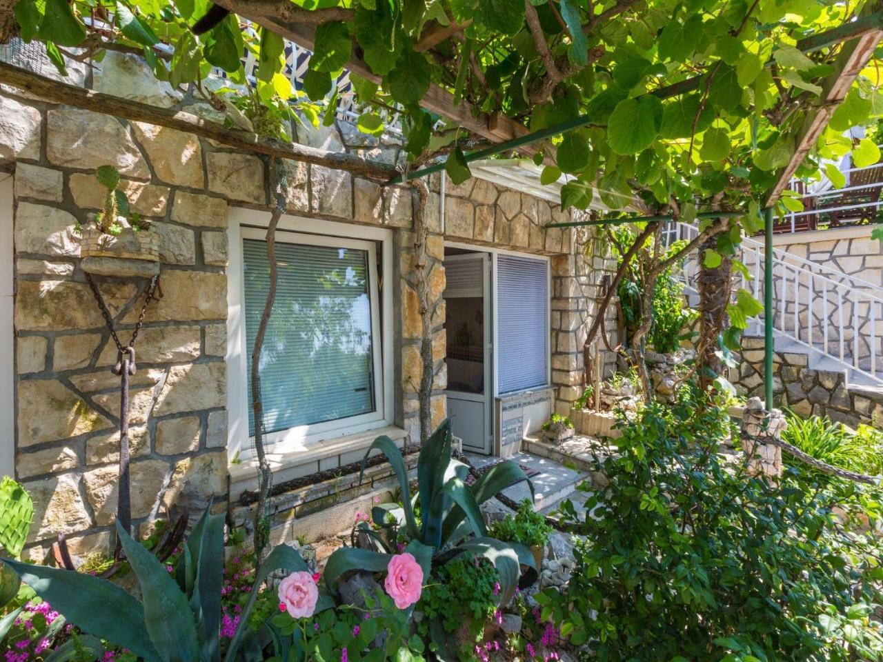 נובי ווינודולסקי Apartments Susanne מראה חיצוני תמונה